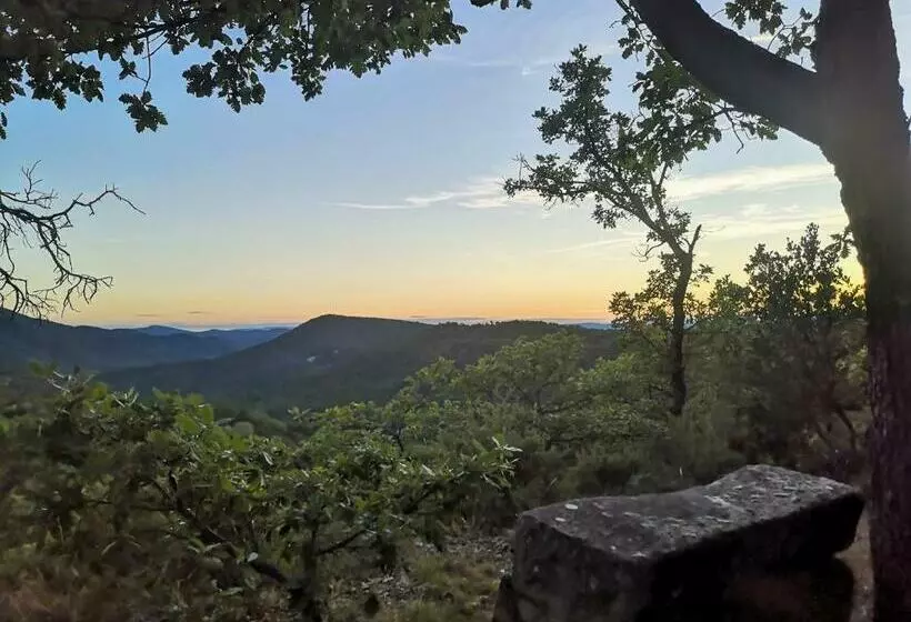 ベッドアンドブレックファースト Le Jas Des Cannebieres