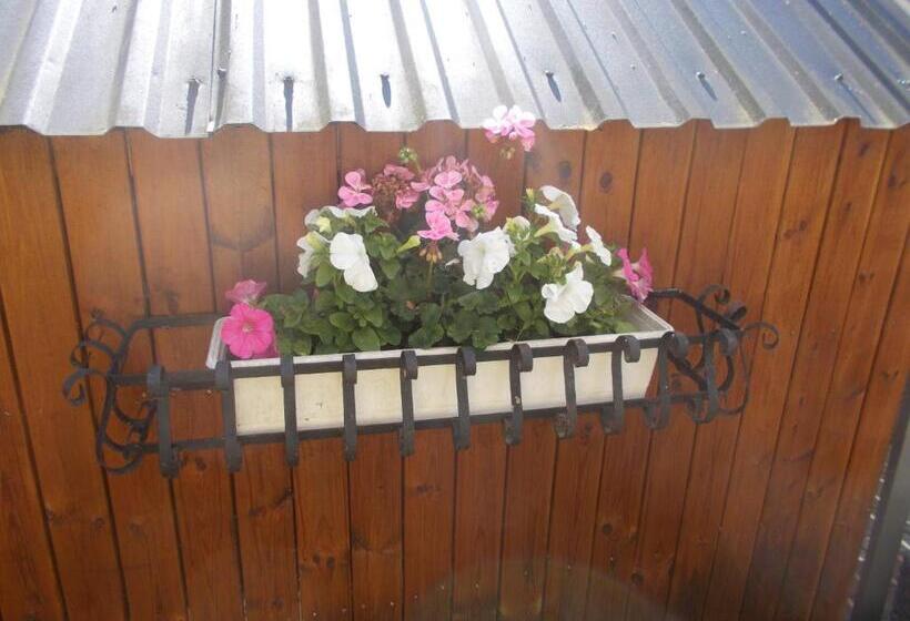 פנסיון Lilla Stugan, Sjötorp