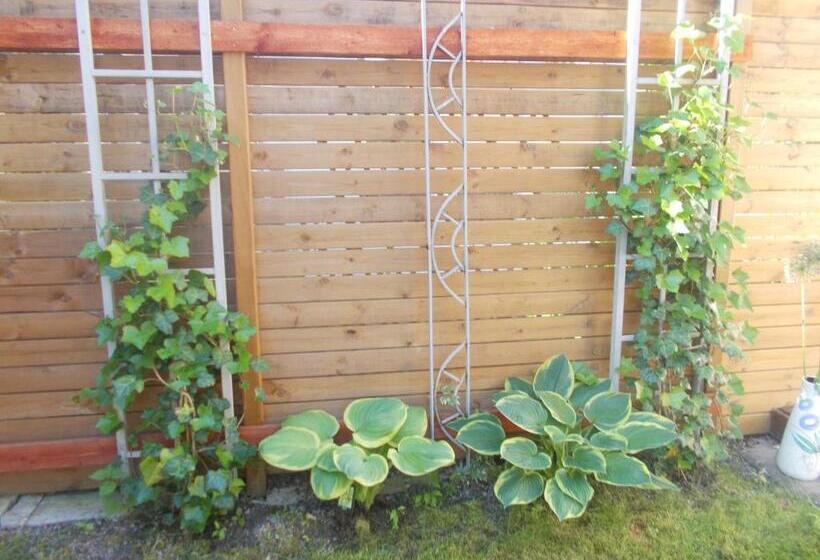 פנסיון Lilla Stugan, Sjötorp