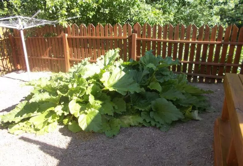 ペンション Lilla Stugan, Sjötorp