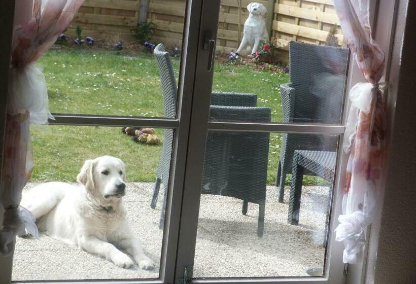 پانسیون Mi Corazon Huisnummer 122