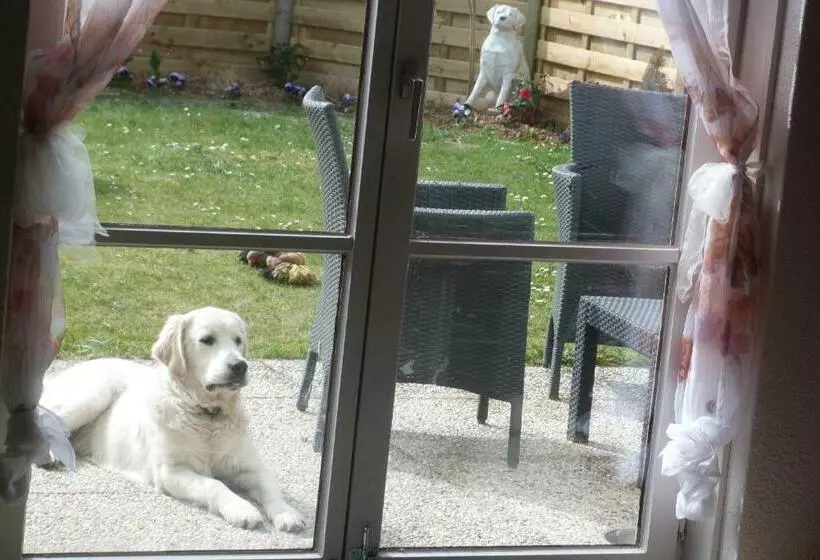 Majatalo Mi Corazon Huisnummer 122