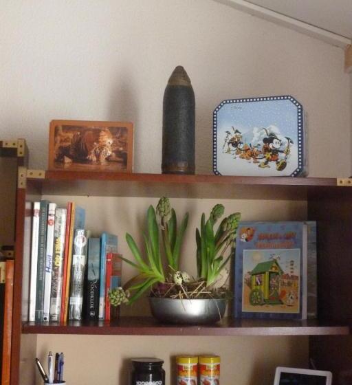 پانسیون Mi Corazon Huisnummer 122