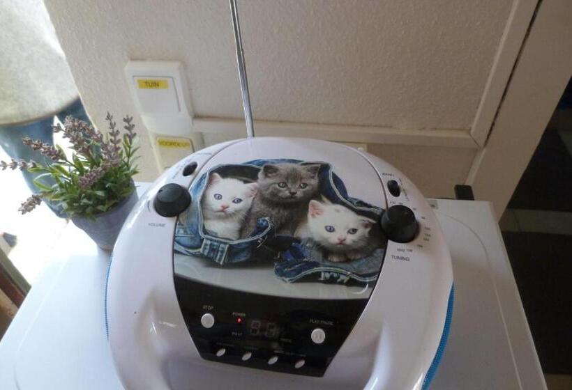 پانسیون Mi Corazon Huisnummer 122