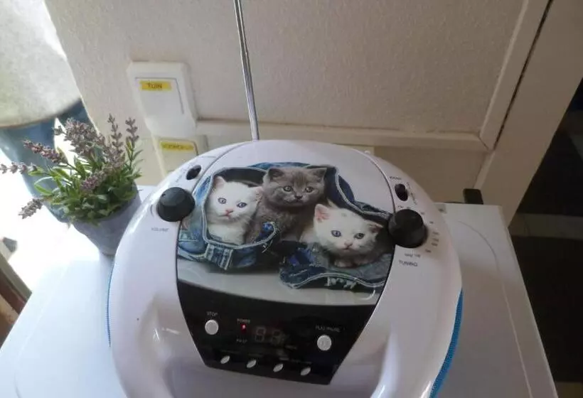 Majatalo Mi Corazon Huisnummer 122