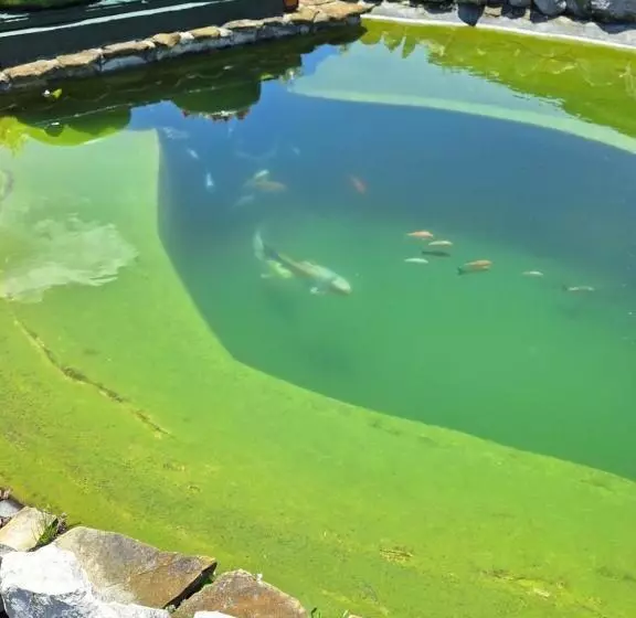 Majatalo Natural Balkanic Selfcheckin Self Catering