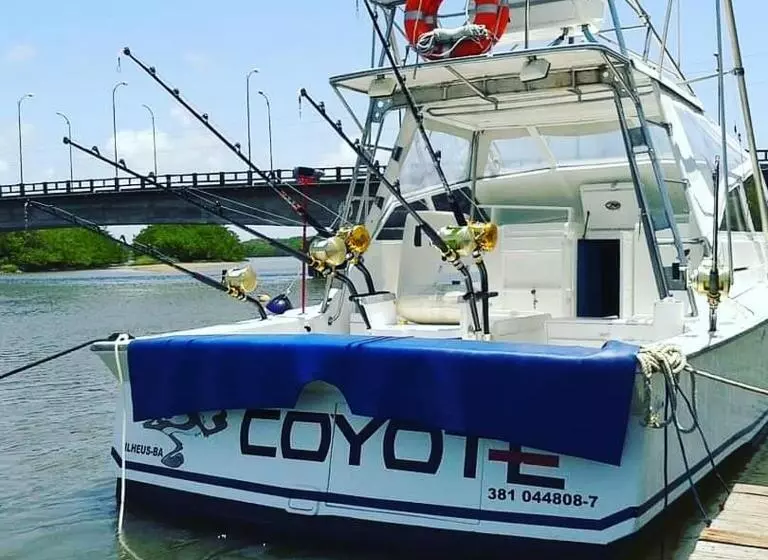 ペンション Pousada Canavieiras Frederic