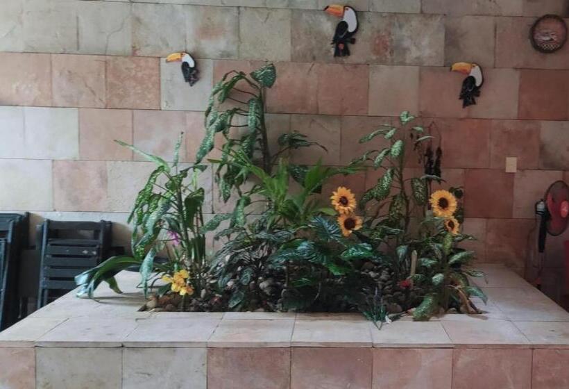 פנסיון Pousada Canavieiras Frederic