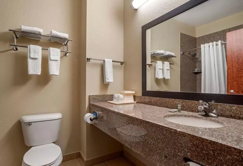 酒店 Best Western Troy Inn