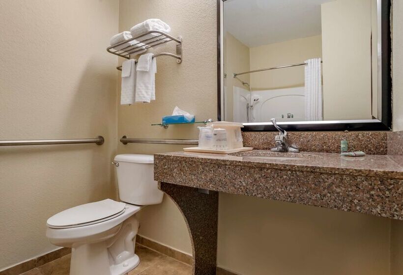 酒店 Best Western Troy Inn