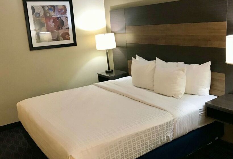 酒店 Best Western Troy Inn