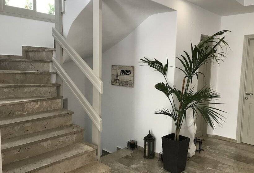 فندق Vassiliki Rooms