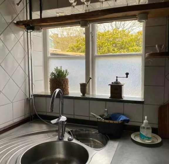 B&b Bland Ormbunkar Och Rosor