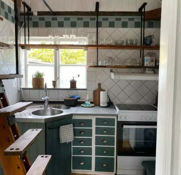 B&b Bland Ormbunkar Och Rosor