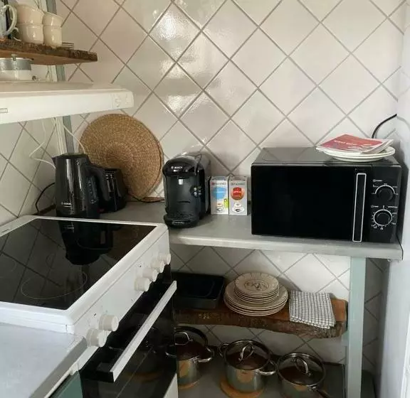 B&b Bland Ormbunkar Och Rosor