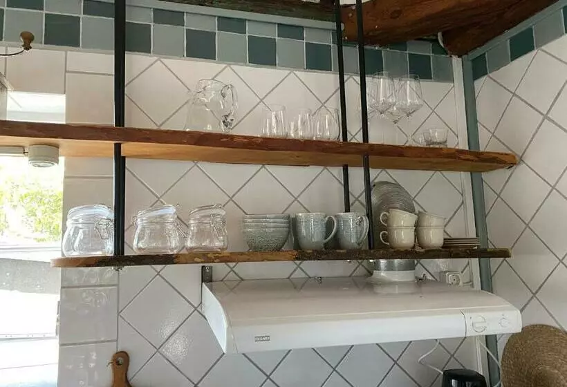 B&b Bland Ormbunkar Och Rosor