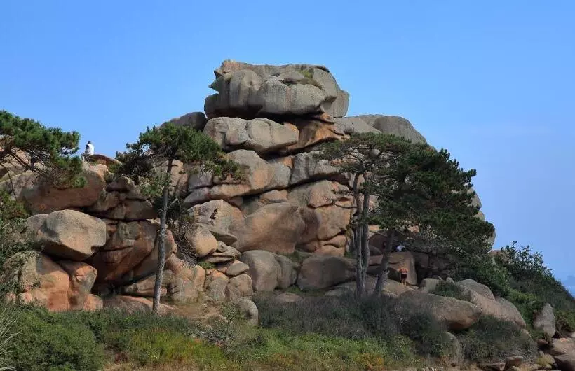 ベッドアンドブレックファースト Aux Arbres Chanteurs