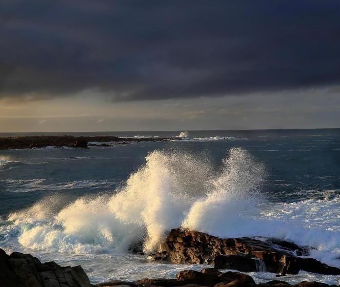 Aamiaismajoitus (B&B) Aux Arbres Chanteurs