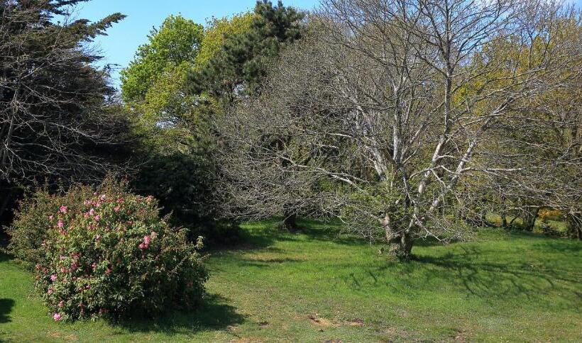 Aamiaismajoitus (B&B) Aux Arbres Chanteurs