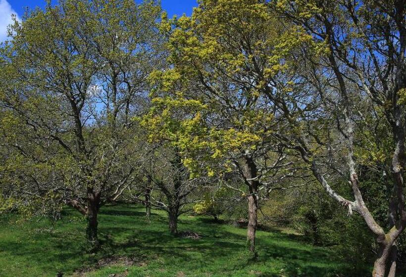 Aamiaismajoitus (B&B) Aux Arbres Chanteurs