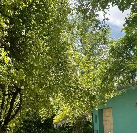 Casina Morgana B&b
