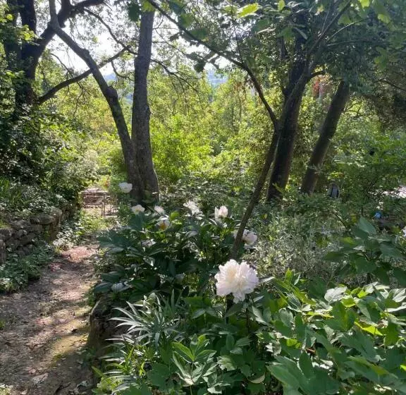 Casina Morgana B&b