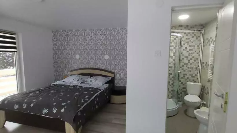 Majatalo Casa Lena  Vatra Dornei