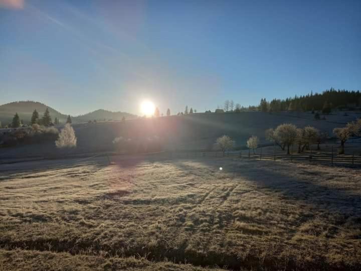 Pensjonat Casa Lena  Vatra Dornei