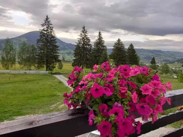 Majatalo Casa Lena  Vatra Dornei