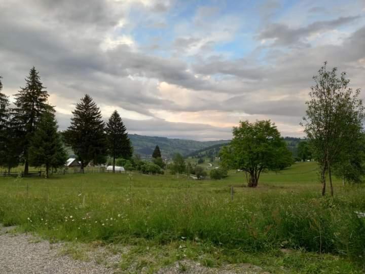 Pensjonat Casa Lena  Vatra Dornei