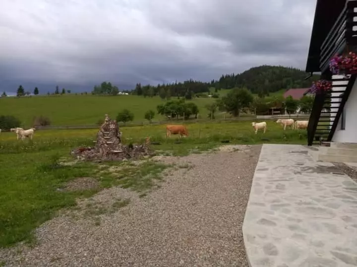 Majatalo Casa Lena  Vatra Dornei