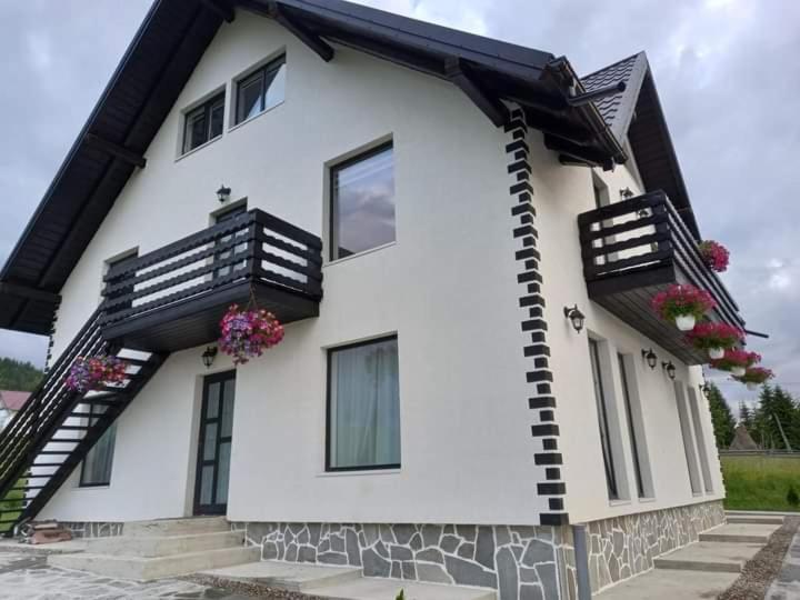 Pensjonat Casa Lena  Vatra Dornei