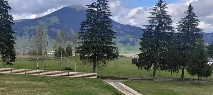 Majatalo Casa Lena  Vatra Dornei