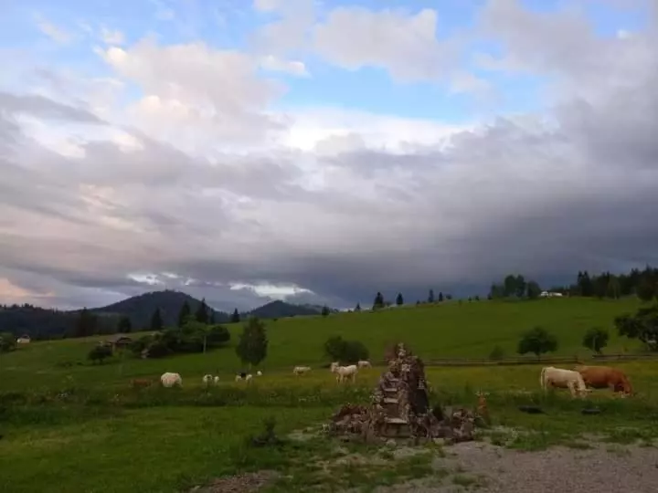 Majatalo Casa Lena  Vatra Dornei