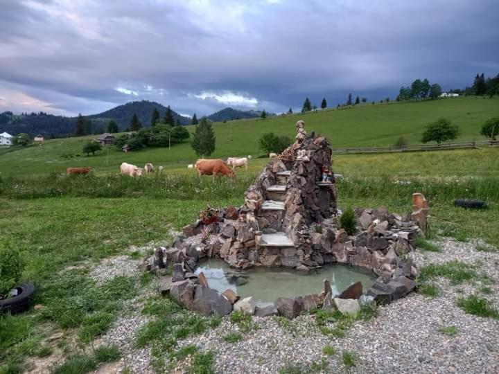 Pensjonat Casa Lena  Vatra Dornei