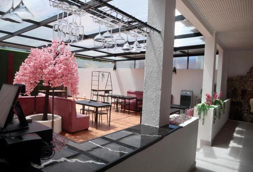 Amadora Boutique Hostel