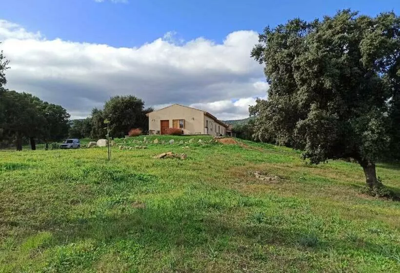 تختخواب و صبحانه Sherdana S