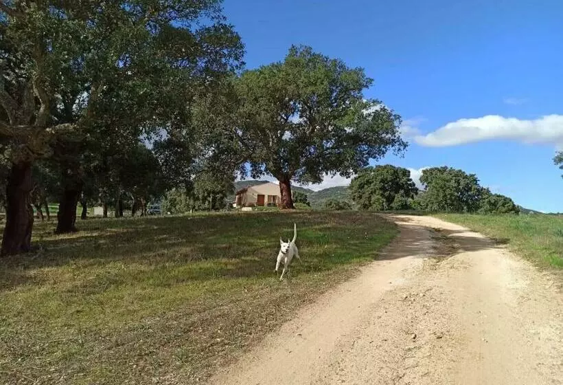 تختخواب و صبحانه Sherdana S