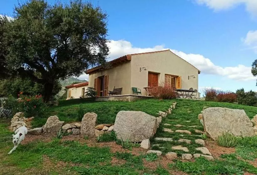 تختخواب و صبحانه Sherdana S