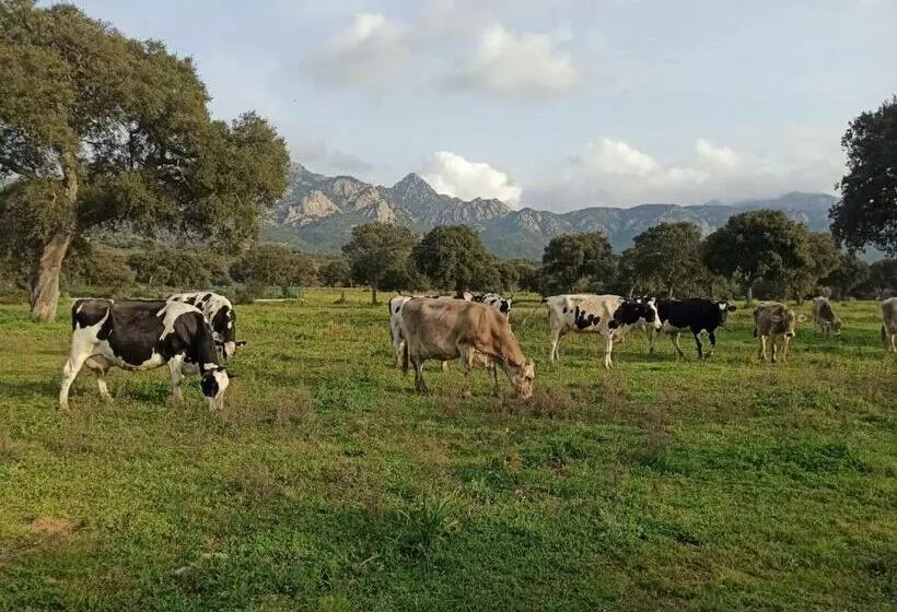 تختخواب و صبحانه Sherdana S