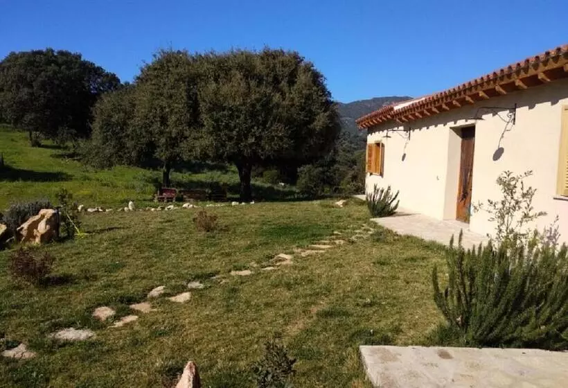 تختخواب و صبحانه Sherdana S