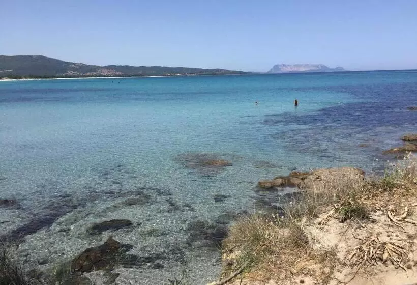 تختخواب و صبحانه Sherdana S