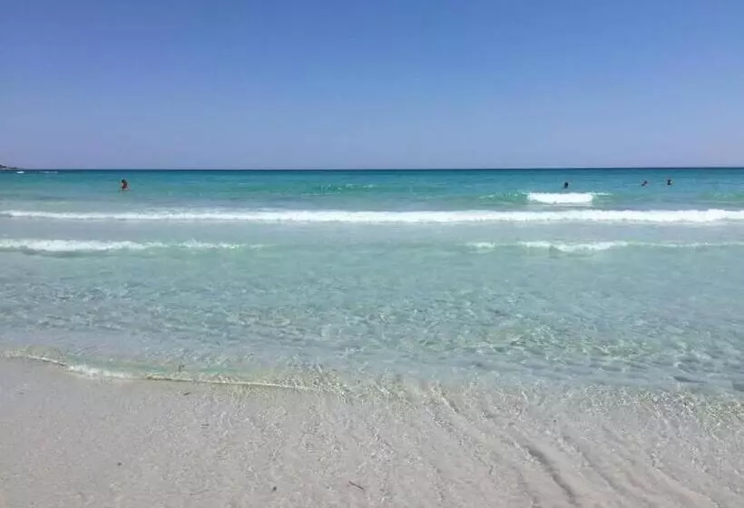 تختخواب و صبحانه Sherdana S