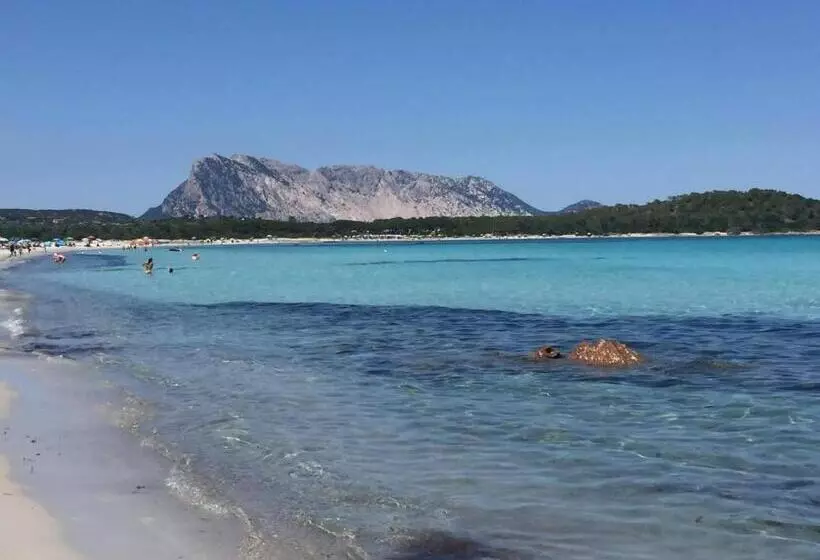 تختخواب و صبحانه Sherdana S