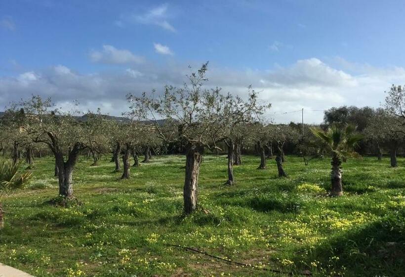 بنسيون B&b Culla De Jana