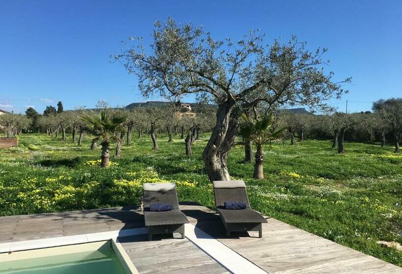 بنسيون B&b Culla De Jana