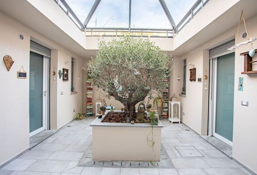 פנסיון Little Square Arona