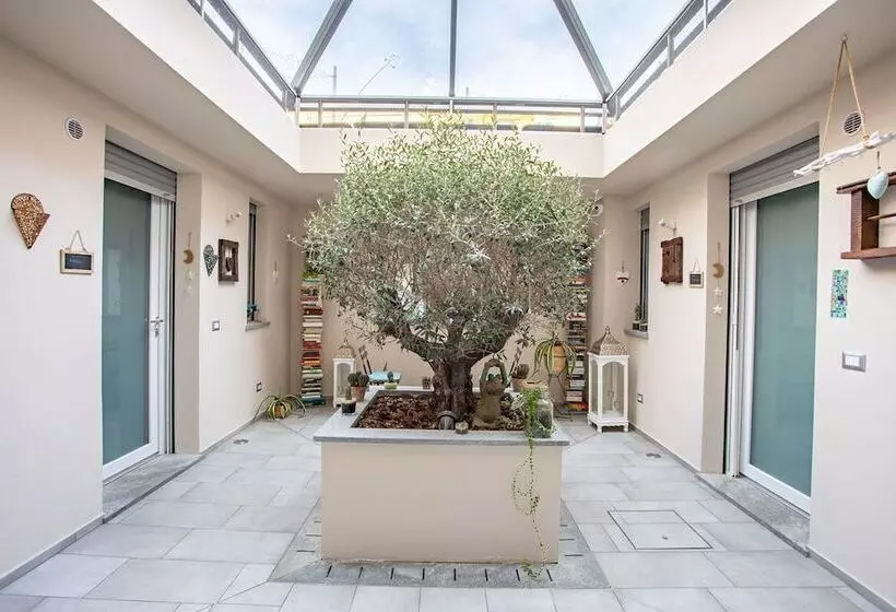 ペンション Little Square Arona