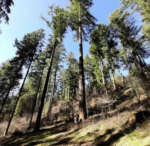 Nocleg ze śniadaniem Haus Pantenburg