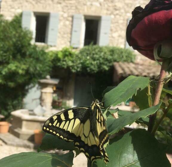 ベッドアンドブレックファースト La Figuiere Fontaine De Vaucluse